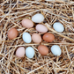 Organic Free Range Chicken Eggs